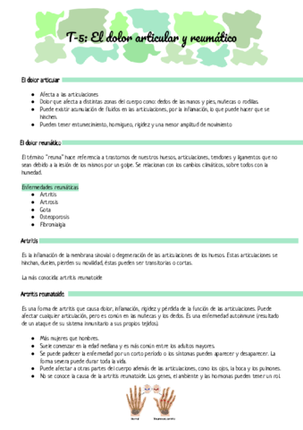 Consejo-T-5.pdf
