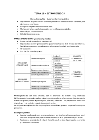 TEMA-19.pdf