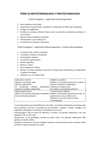 TEMA-22-METASTRONGILIDOS-Y-PROTOSTONGILIDOS.pdf