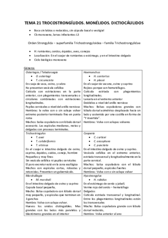 Tema-21.pdf