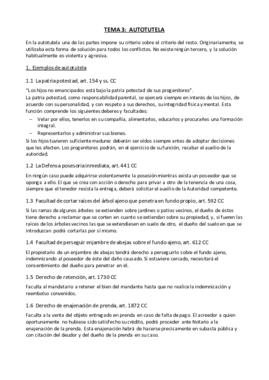 Tema 3 - Autotutela.pdf