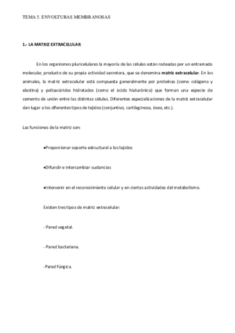 TEMA-5.pdf