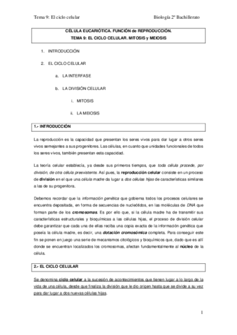 TEMA-9.pdf