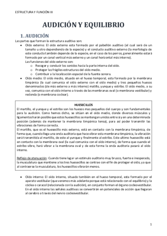 TEMA-2-Audicion-y-equilibrio.pdf