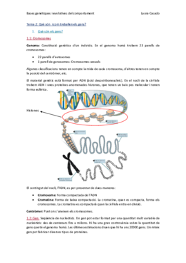 Tema 2_Què són i com treballen els gens_Classe26_2_16.pdf