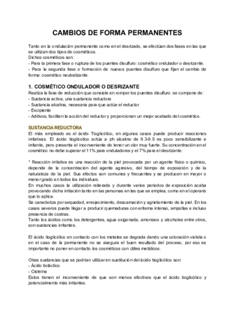 Apuntes-permanente.pdf