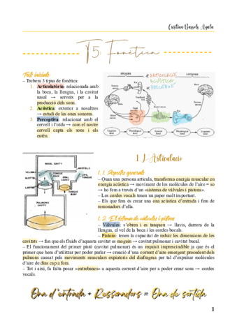 T5-Fonetica.pdf