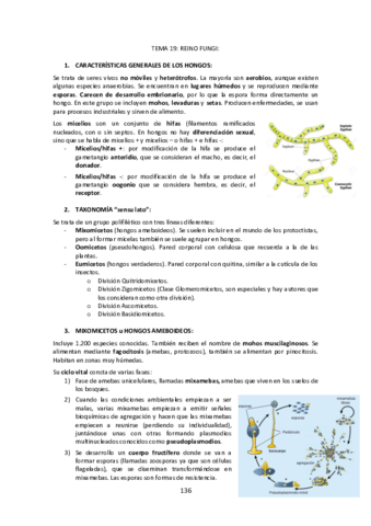 Tema-19-Reino-Fungi.pdf