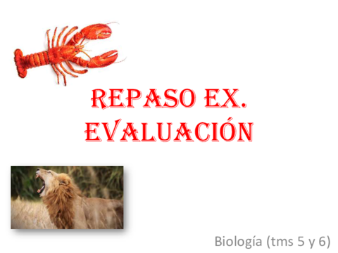 INVERTEBRADOS1oESOBIOLOGIA.pdf