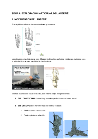 TEMA-8-EXPLORACION-ARTICULAR-DEL-ANTEPIE.pdf