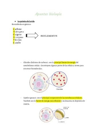 apuntes-biologia-1.pdf