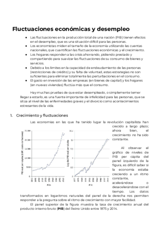 Fluctuaciones-economicas-y-desempleo-.pdf