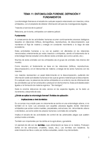TEMA-11-ENTOMOLOGIA.pdf
