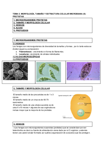 Tema-5-Micro.pdf