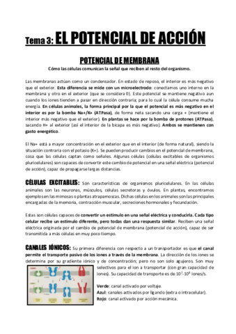 Tema-3-El-Potencial-de-Accion.pdf