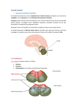 Tema B6_El cerebel_Complet.pdf