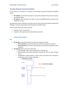 Tema B12_Classe6_5_16.pdf