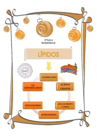 Lipidos.pdf