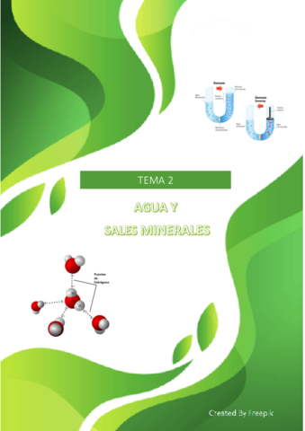Agua-y-sales-minerales.pdf