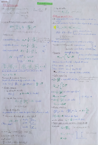 Termodinamica.pdf