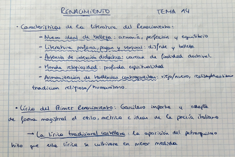 Imagen-1-tema-14-lengua-y-literatura.jpg