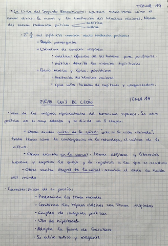 Imagen-3-tema-14-lengua-y-literatura.jpg