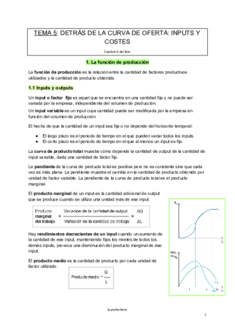 TEMA-5-economia.pdf