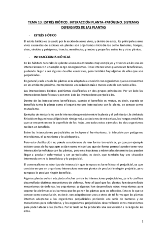 Tema-13.pdf