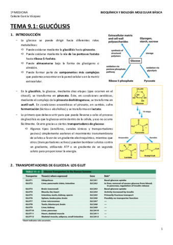 TEMA-9-1.pdf