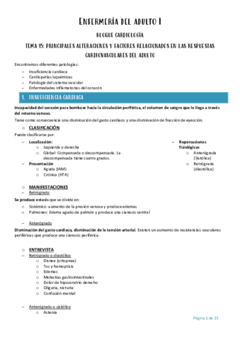 Enfermeria-del-adulto-I-tema-15.pdf