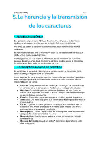 resumen-byg-T-5.pdf