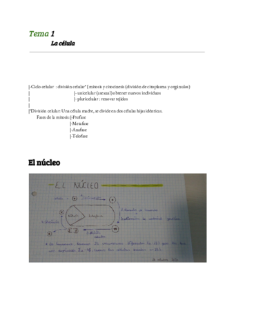 Tema-1-byg-apuntes.pdf