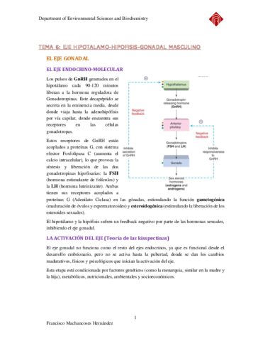 ENDOCRINOLOGIA-TEMA-6.pdf