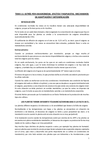 Tema-11.pdf