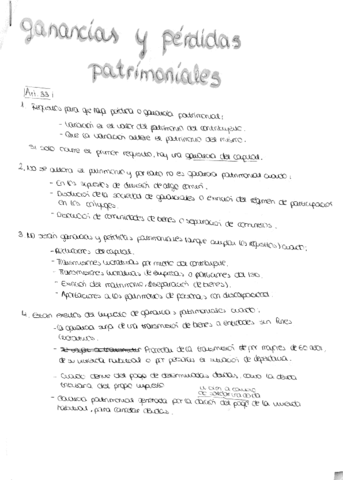 pyg-patrimoniales-resumen.pdf