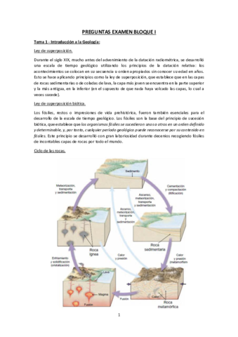 PREGUNTAS-EXAMEN-BLOQUE-I.pdf