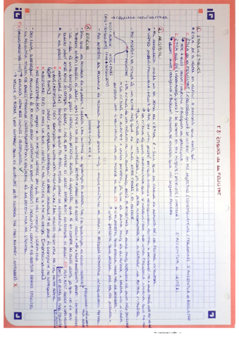 tema-8.pdf