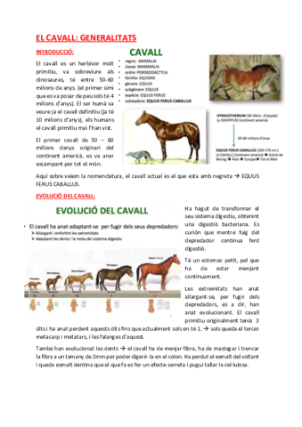 Part-equi-EL-CAVALL.pdf