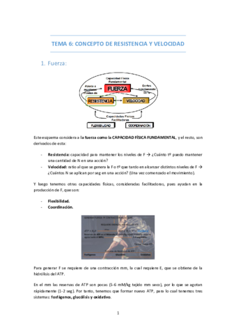 TEMA-6-CONCEPTO-DE-RESISTENCIA-Y-VELOCIDAD.pdf