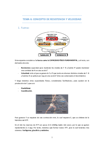 TEMA-6-CONCEPTO-DE-RESISTENCIA-Y-VELOCIDAD.pdf