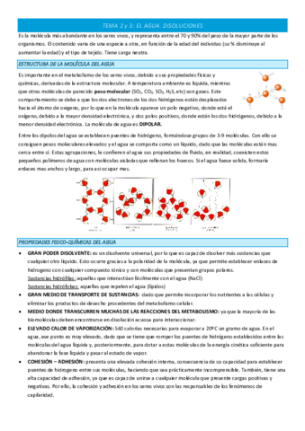 TEMA-2-y-3-COMPLETO.pdf