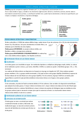TEMA-5-COMPLETO.pdf