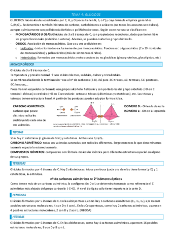 TEMA-4-COMPLETO.pdf