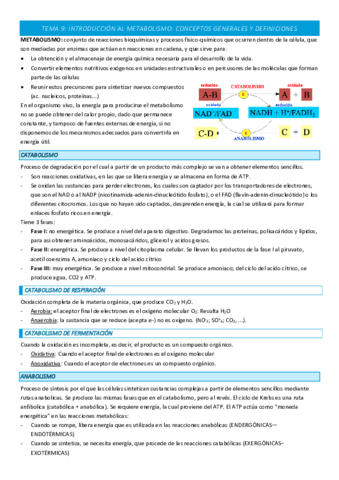 TEMA-9-COMPLETO.pdf