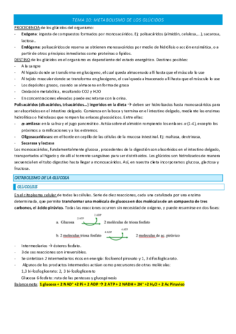 TEMA-10-COMPLETO.pdf