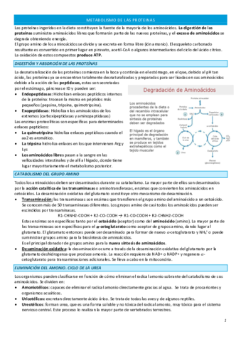 TEMA-12-COMPLETO.pdf