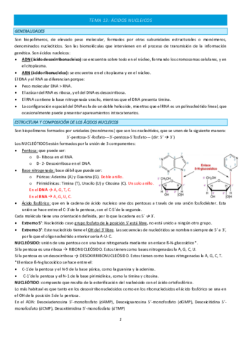 TEMA-13-COMPLETO.pdf