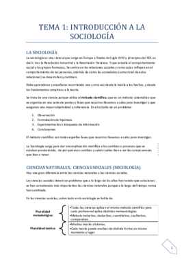 TEMA 1.pdf