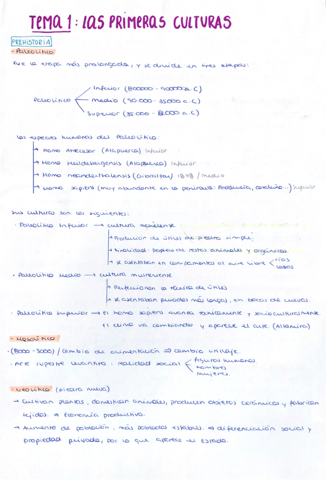 Resumen-Tema-1-H.pdf