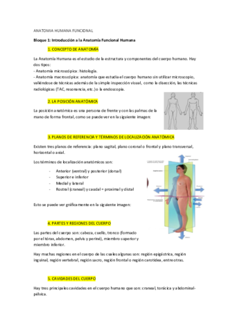 Anatomia Temas 1 y 2.pdf